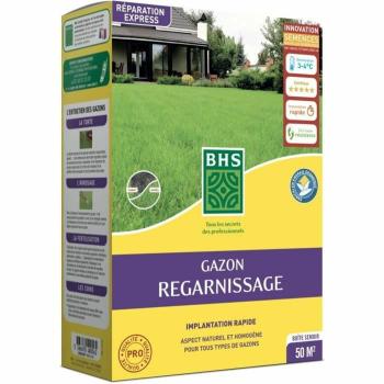Gazon Regarnissage Terrain Sec Résistant - BHS - 1kg 40 m²