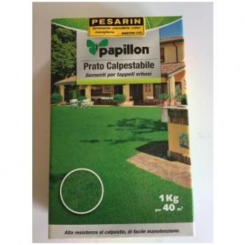 Semences de Gazon Haute Résistance 1 Kg