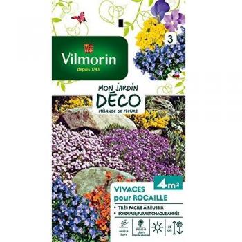 Vilmorin 5860943 Pack de Graines Fleur Vivace pour Rocaille