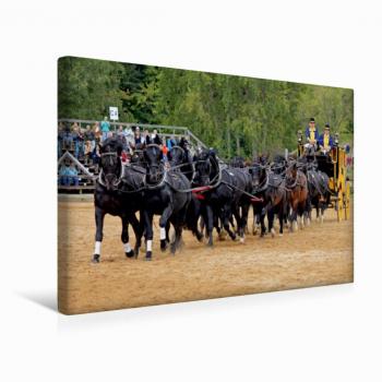 CALVENDO Premium Textil-Leinwand 45 x 30 cm Quer-Format Moritzburger Hengstparade: 16 Hengste vor der Postkutsche!, Leinwanddruck von Sandra Ludwig
