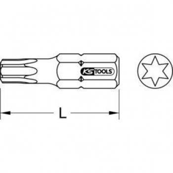 Set di 5 punte Torx T30 in acciaio inox V2A per cacciavite 1/4