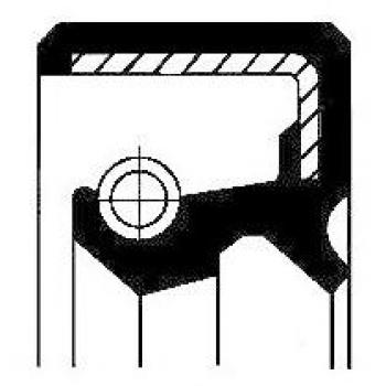 Corteco 19027867B Anello Tenuta Differenziale Paraolio Ripartitore di Coppia