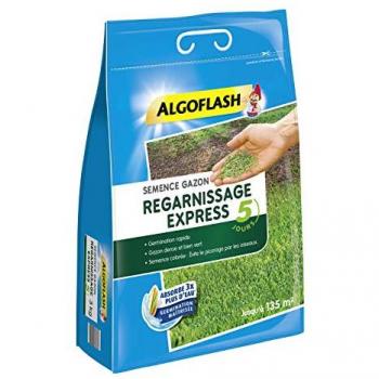 Semences Gazon Regarnissage Express Algoflash 3 Kg - 5 Jours