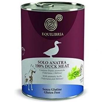 Solo Anatra