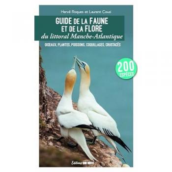 Guide de la faune et de la flore du littoral Manche-Atlantique : oiseaux, plantes, poissons, coquillages et crustacés