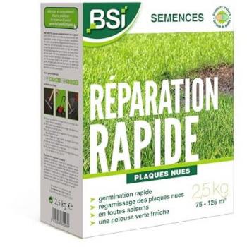 Semences de Gazon Réparation Rapide BSI - Enrobage Protecteur - Haute Qualité - 2,5 kg (jusqu'à 125 m²)