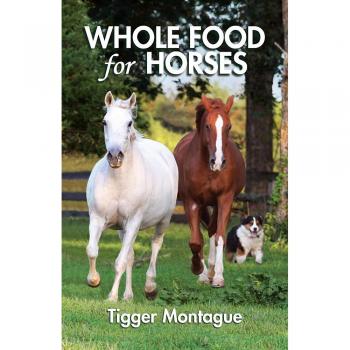 Alimento Integral para Caballos Montague Tigger