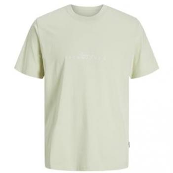 T-shirt z nadrukiem z logo model 'VARENNA' w kolorze miętowym, rozmiar XXL
