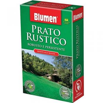 BLUMEN Gazon rustique 1kg
