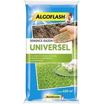 ALGOFLASH Sac de Semence Gazon Universel, 10 kg, SEMU10