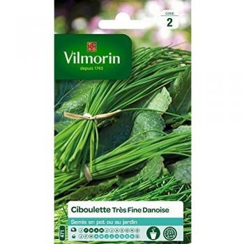 Vilmorin 3410445 Pack de Graines Ciboulette Très Fine Danoise