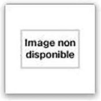 Le destin miraculeux d'edgar mint