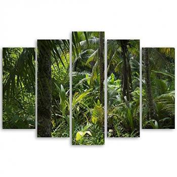 Cuadro en lienzo de cinco piezas Bosque Árboles Naturaleza 100x70 cm Impresión en Material Tejido no Tejido Imagen Moderna Gráfica Pasillo Palmeras Plantas exóticas Trópicos Verde