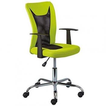 AltoBuy Deana - Fauteuil de Bureau sur roulettes Vert et Noir