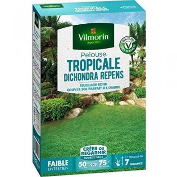 Vilmorin 4346012 Pelouse Tropicale Dichondra Repens, Vert, 500 g