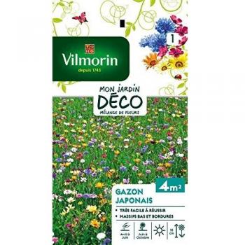 Vilmorin 5861141 Gazon, Multicolore, 90 x 2 x 160 cm