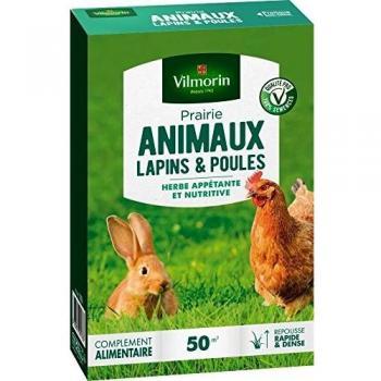 Vilmorin 4461312 Prairie Animaux Lapins et Poules, Vert, 5.80 x 14.5 x 22 cm
