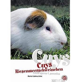 Cuys - Riesenmeerschweinchen: Cavia aperea f. porcellus: Art für Art