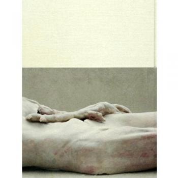 Berlinde de Bruyckere. The Embalmer: Kunsthaus Bregenz / Kunstraum Dornbirn