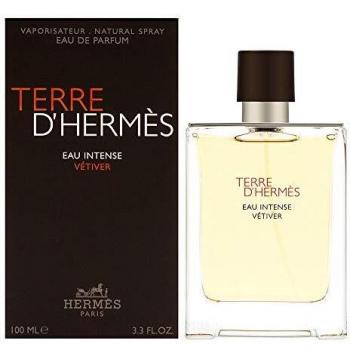 Eau de Parfum Terre d'Hermès Intense Vétiver 100ml