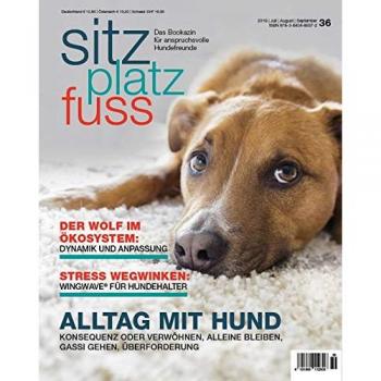 SitzPlatzFuss, Ausgabe 36