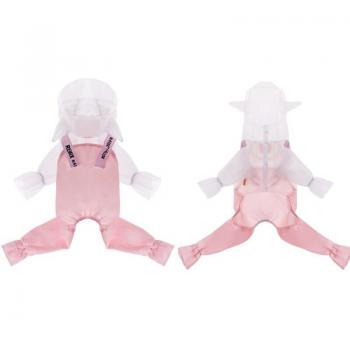 Manteau de pluie transparent et imperméable pour chien avec capuche à quatre pieds - Vêtements d'extérieur mignons pour grands chiens (Teddy, Caniche)