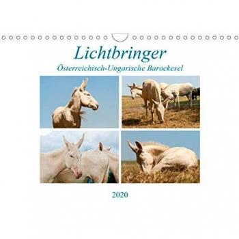Lichtbringer - Österreichisch-Ungarische Barockesel