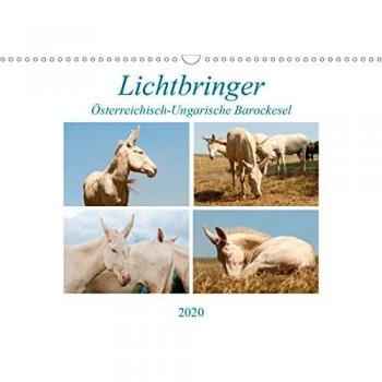 Lichtbringer - Österreichisch-Ungarische Barockesel