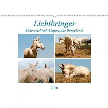 Lichtbringer - Österreichisch-Ungarische Barockesel