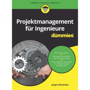 Ingenieure im Projektmanagement: Der umfassende Leitfaden für Einsteiger