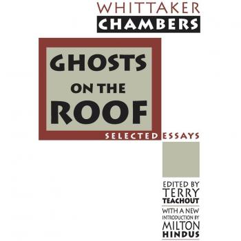 Ghosts on the Roof: Interactive Augmented Reality Experience