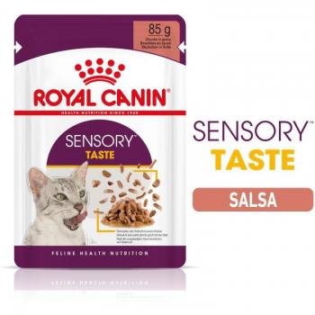 Royal Canin Sensory Taste Moist Cat Food in Sauce for Adult Cats 85g