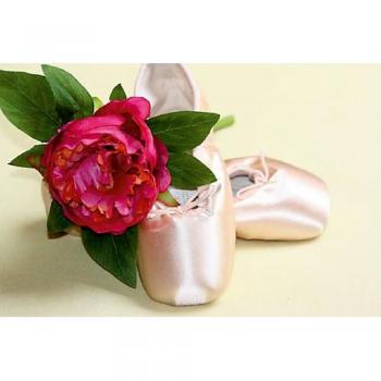 CALVENDO Premium Textil-Leinwand 90 x 60 cm Quer-Format Ballettschuhe, Leinwanddruck von Lilo Kapp