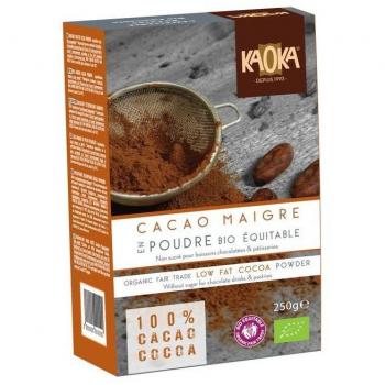 CACAO MAIGRE EN POUDRE BIO 10-12% - 250 G