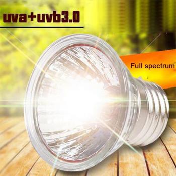 Ampoule chauffante UVA+UVB 25/50/75W pour reptiles - Lampe de basking pour tortues, amphibiens et lézards avec régulateur de température