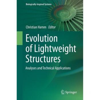 Lightweight Structural Evolution System