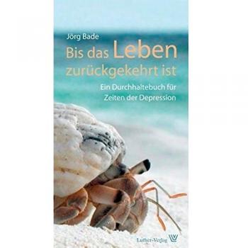 Bis das Leben zurückgekehrt ist: Ein Durchhaltebuch für Zeiten der Depression