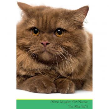 British Longhair Cat Presents: Cat Facts Workbook. British Longhair Cat Presents Cat Facts Workbook with Self Therapy, Journalling, Productivity Trac: ... for Notes, To Do Lists, Brainstorms. Volume 3