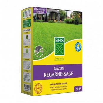 Gazon de regarnissage Florol 1 Kg