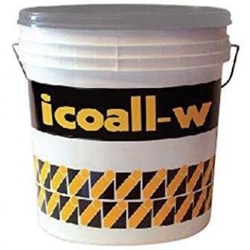 Peinture Protectrice Aluminium Icoall-W 4L