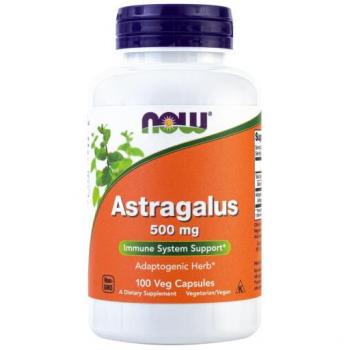 Astrágalo 500mg - 100 Cápsulas Vegetarianas - Suporte ao Sistema Imune