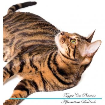Toyger Cat Affirmations Workbook Toyger Cat Presents: Positive and Loving Affirmations Workbook. Includes: Mentoring Questions, Guidance, Supporting You.