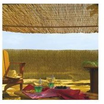 Rete di Bambù Naturale 2x5 m - Schermo Privacy 75% Oscurante