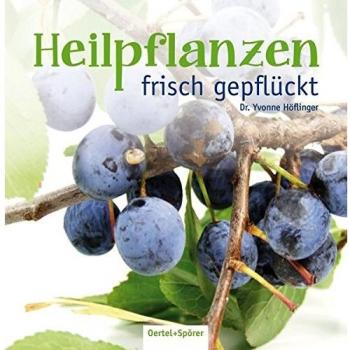 Heilpflanzen frisch gepflückt