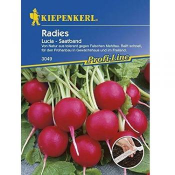Radieschensamen - Radies Lucia