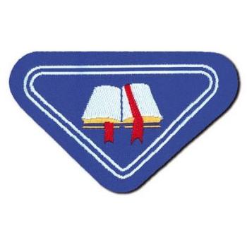 Zinc-Coated Steel Anchor with Threaded Rod SLM - 8mm x 75mm Rod, 14mm x 50mm Anchor - Pack of 50