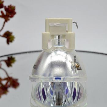 Acer X1160 Series Compatible Projector Lamp Bulb EC.J5600.001