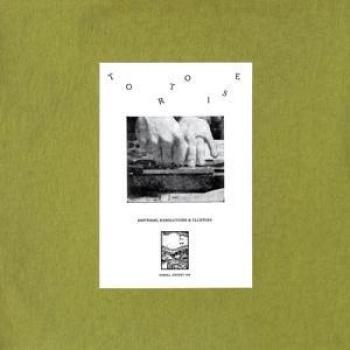 Tortoise - Vinile Groove Shop: Musica Vera con Ritmi, Risoluzioni e Cluster