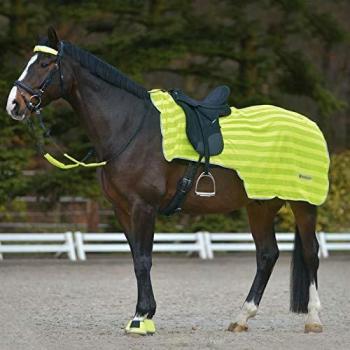 Manta Refletora Waldhausen para Cavalo - Neon Amarelo - Tamanho Único