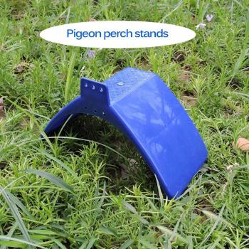 Support de repos en plastique pour oiseaux - 10 pièces, cadre bleu pour pigeons, colombes et perroquets